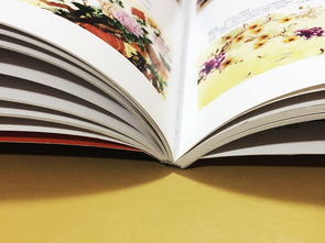 成都百铂文化 专业打造家具家居产品宣传画册，赋能品牌形象