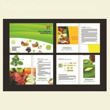 沈阳产品样本设计印刷一站式服务 从创意设计到精美印刷的全方位解决方案