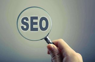 六道科技 以用户群定位与网站布局为核心的网站优化策略